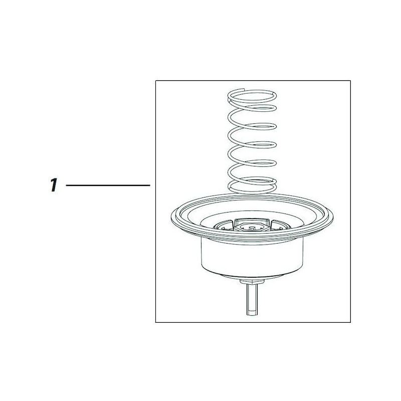 209792 Kit Membrane 100Pga