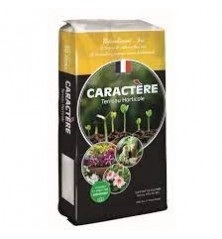 Terreau Horticole CARACTERE 20 L