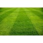 Engrais Gazon Terrains de Sport Grass-Care  DCM 25 kg