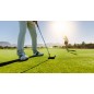 Engrais Gazon Terrains de Sport Grass-Care  DCM 25 kg