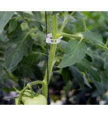 Clip tomate Ajouré 23 mm