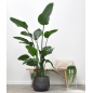 Terreau Indoor CARACTERE 40 L Terreau Indoor CARACTERE 40 L