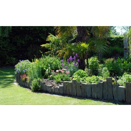 Terreau Plantation CARACTERE 50 L