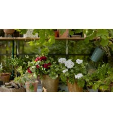 Terreau Horticole CARACTERE 20 L