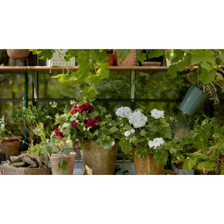 Terreau Horticole CARACTERE 20 L