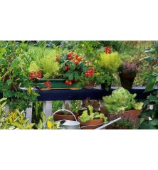 Terreau Carré Potager CARACTERE 50 L