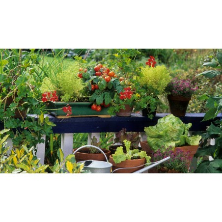 Terreau Carré Potager CARACTERE 50 L