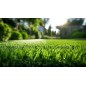 Gazon GP 100 GREEN PARK