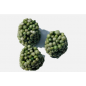 Basacote tabs 6 m High K- 13 5 18  7,5 kg
