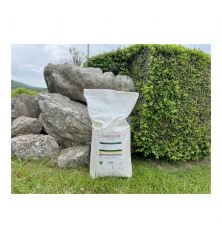 Biostimulant soluble CARAMINO' K sac 10 kg