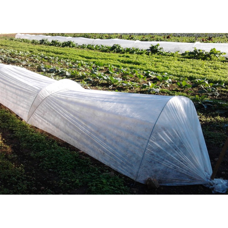 Films semi-forçage standard 80µ 2m20x282m Films semi-forçage standard 80µ 2m20x282m