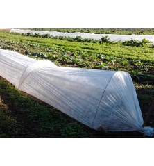 Films semi-forçage standard 80µ 2m50x246m