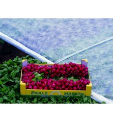 LUTRASIL PRO 19g/m² 1m10x250m (275m² PRO19)