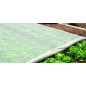 LUTRASIL PRO 19g/m² 1m10x250m (275m² PRO19)
