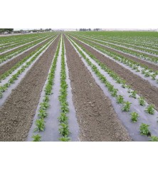 Film paillage biodégradable noir 15µ 1m40x1500m (microperf uniquement)