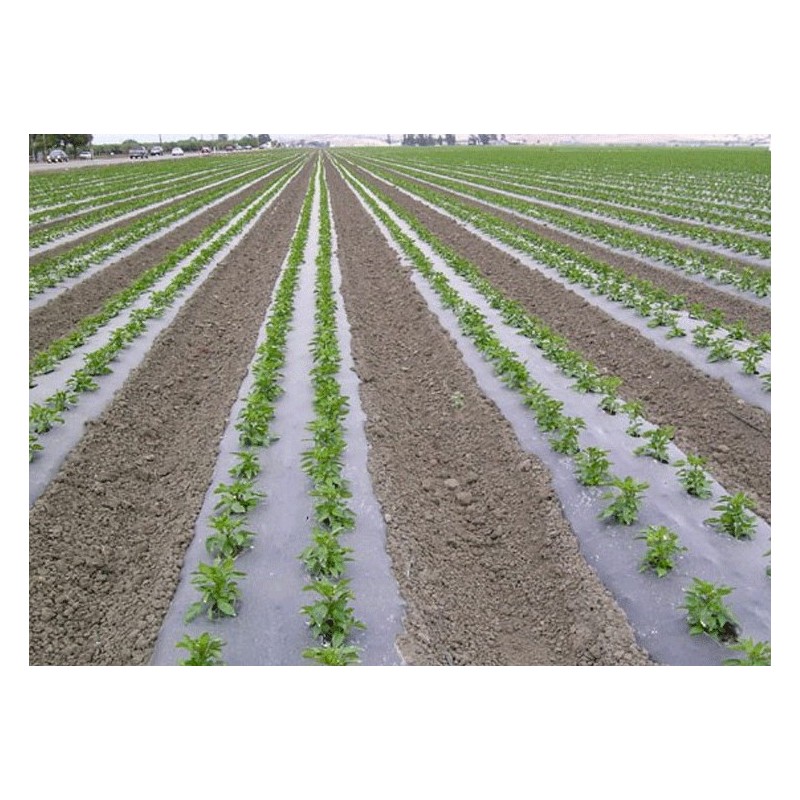 Film paillage biodégradable noir 15µ 1m40x1500m (microperf uniquement)
