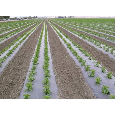 Film paillage biodégradable noir 15µ 1m40x1500m (microperf uniquement)
