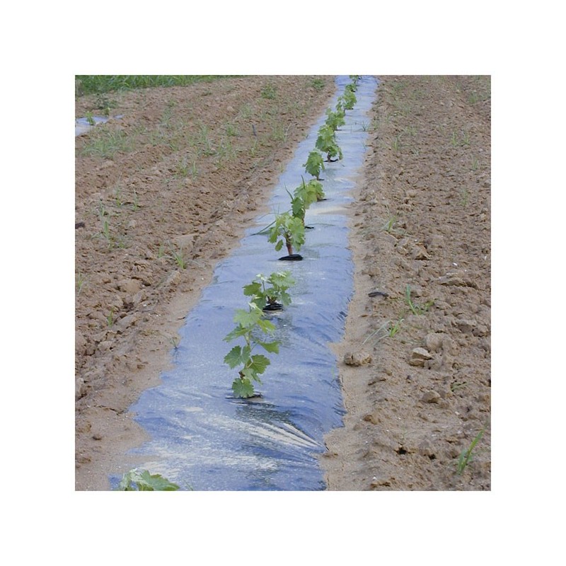 Film paillage Cellobio 80µ 1m10x100m