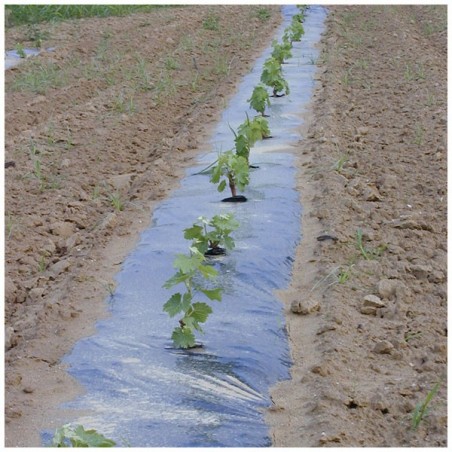 Film paillage Cellobio 80µ 1m10x100m