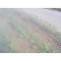 Filet de protection TOP CLIMAT - 37g/m²  - 2mx 100m (thermique tricote) Filet de protection TOP CLIMAT - 37g/m²  - 2mx 100m (thermique tricote)