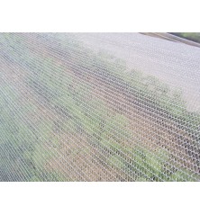 Filet de protection TOP CLIMAT - 37g/m²  - 4mx 100m (thermique tricote)