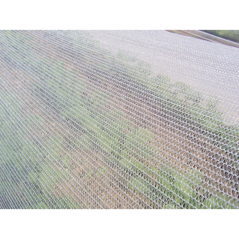 Filet de protection TOP CLIMAT - 37g/m²  - 4mx 100m (thermique tricote)
