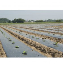 Film paillage Noir linéraire 20µ 1m50x1500m