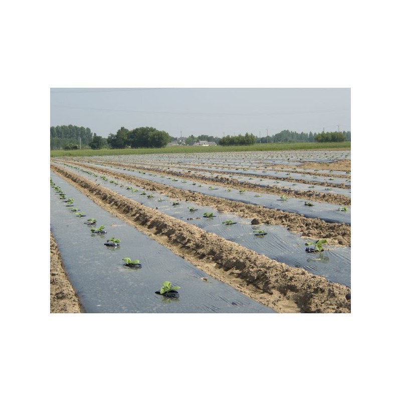 Film paillage Noir linéraire 20µ 1m50x1500m