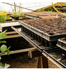 Soucoupe standard pour plaque de semi alvéolée quickpot 330x517x20 mm