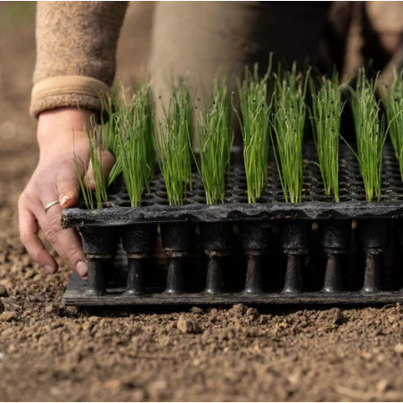 Plaque de dépotage Quickpot QP24RW Irrigué