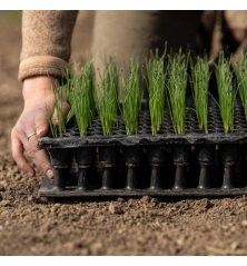 Plaque de dépotage Quickpot QP77W Irrigué