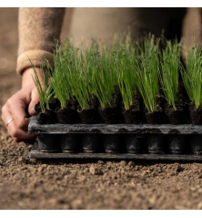 Plaque de dépotage Quickpot QP150RW Irrigué