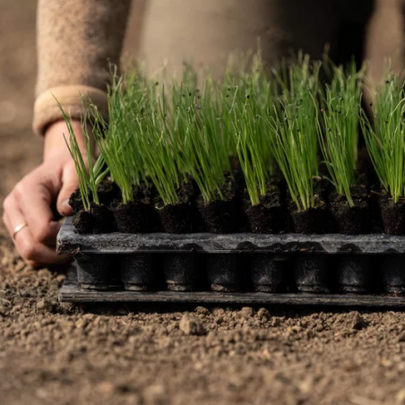 Plaque de dépotage Quickpot QP150RW Irrigué