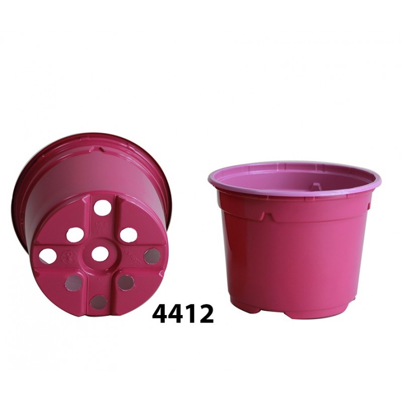 Duo 10,5 Cm Bas 5* Fuchsia A1 Fuchsia A1