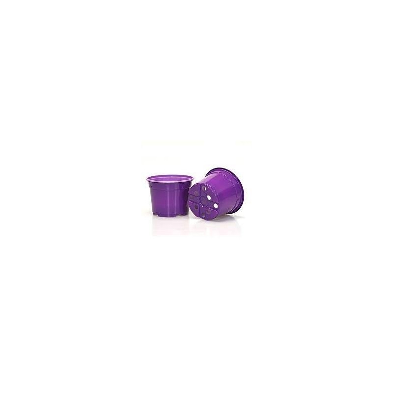 Duo 10,5 Cm Bas 5* Violet B1 Violet B1