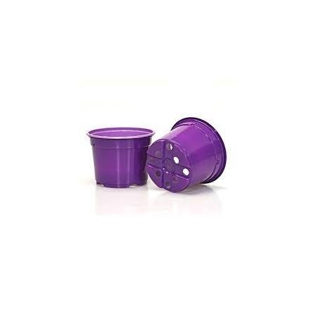 Duo 10,5 Cm Bas 5* Violet B1 Violet B1