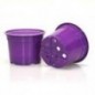 Duo 10,5 Cm Bas 5* Violet B1 Violet B1