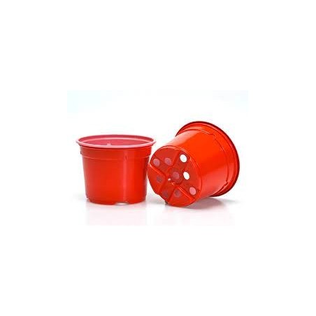 Duo 10,5 Cm Bas 5* Rouge Ab Rouge Ab