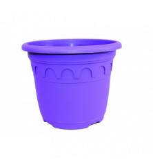 Roma 5,9 L Violet B1 Violet B1