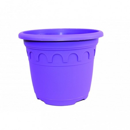 Roma 5,9 L Violet B1 Violet B1