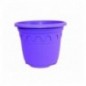 Roma 5,9 L Violet B1 Violet B1